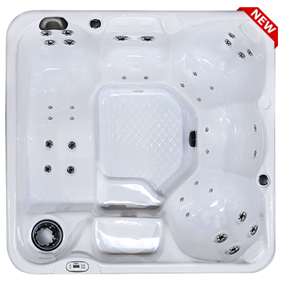 Hawaiian PZ-636L hot tubs for sale in hot tubs spas for sale Tucson